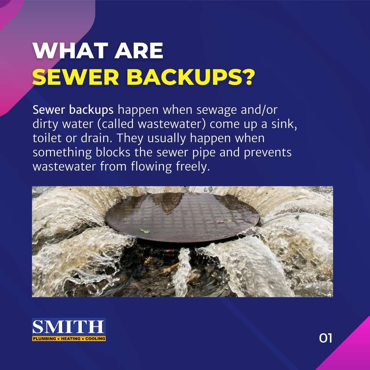 What are sewer backups
