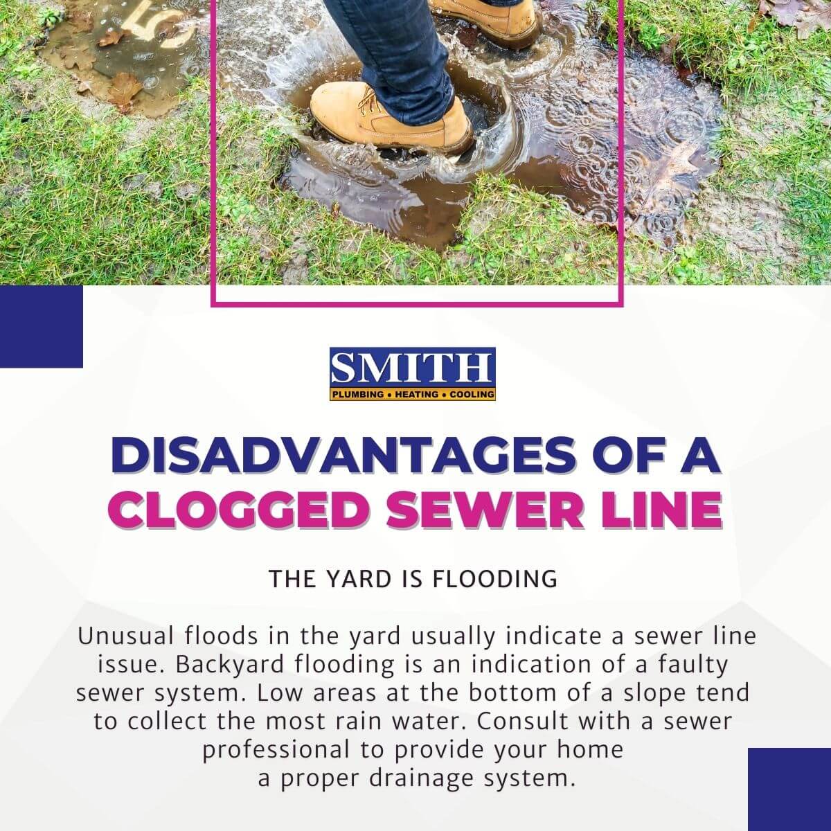 Disadvantages of a clogged sewer line page 6